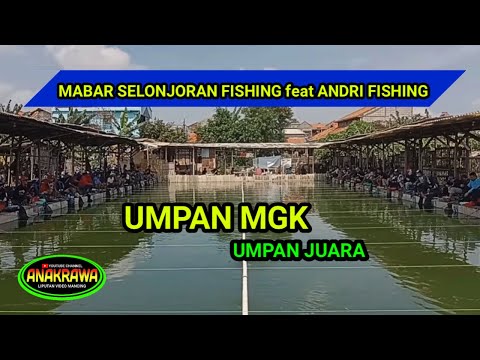 MABAR ANDRI FISHING feat SELONJORAN FISHING | UMPAN MGK UMPAN JUARA