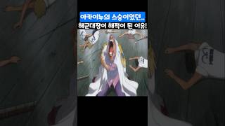 🔥미친 작화🔥 아카이누의 스승이었던 해군대장이 해적이 된 이유! #원피스 #onepiece