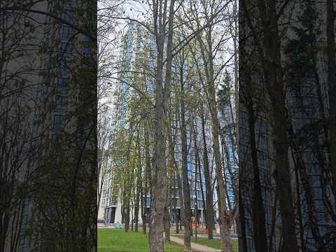 фото брилевская ул, 25, минск, 1 комн., 30 м² 0