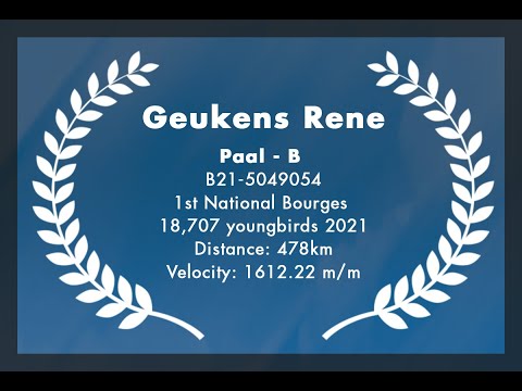 Geukens Rene - Paal: 1st National Bourges 18,707 youngbirds 2021