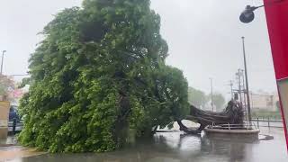     【警戒】台風13号接近中！沖縄を襲った台風6号を振り返る【切り抜き】