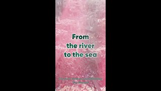 From the river to the sea Palestine will be free