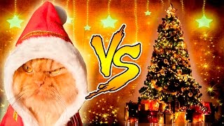 Funny Cats vs Christmas Trees - Funny Cats And Christmas Tree - Funny Cats 2016
