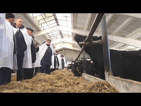Развитие животноводства. Большой семинар в Мозыре видео