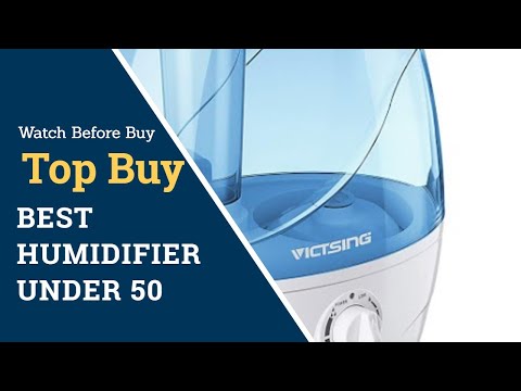 Best Humidifier Under 50 | Itvanila Air Purifier 2020