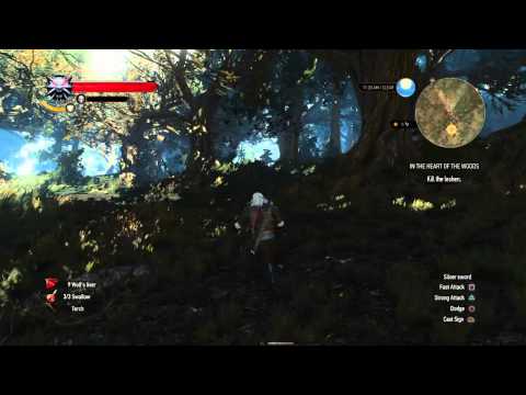 The Witcher 3: Wild Hunt - Geralt Learns A Leshen