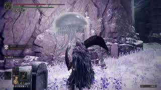 【土曜定期】完全初見のELDEN RING  #41
