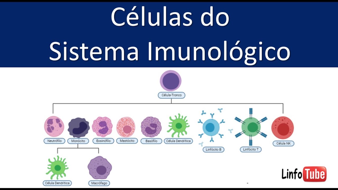 Células do Sistema Imunológico