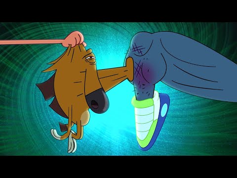 ZIG AND SHARKO | A kiss of shame (SEASON 4) New episodes | Cartoon Collection for kids