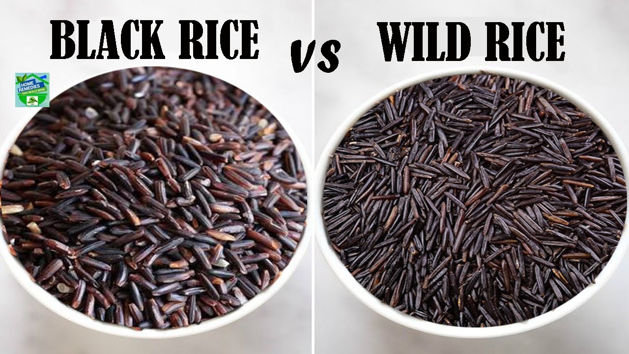 Is Wild Rice same as black rice? Life Set Go