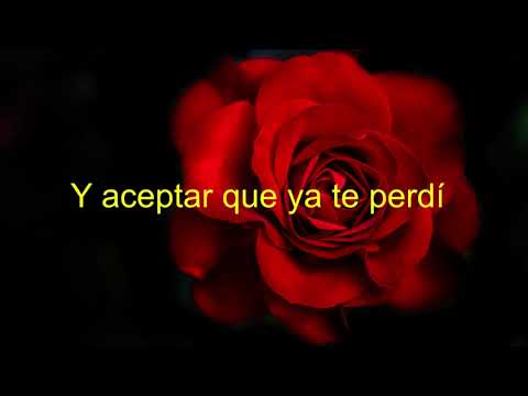 Te tengo que olvidar      Industria del amor