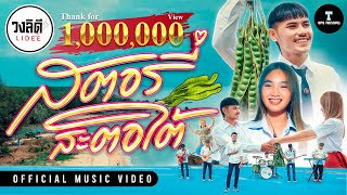 สตอรี่สะตอใต้ วงลิดี