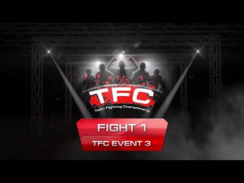 5 на 5 в Team Fighting Championship