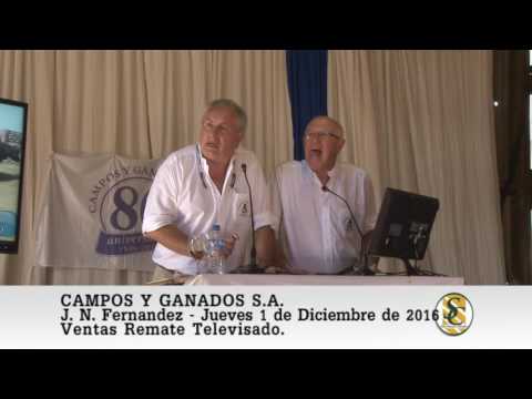 01-12-16 Ventas Remate Televisado - Campos y Ganados S.A. - Juan N. Fernandez