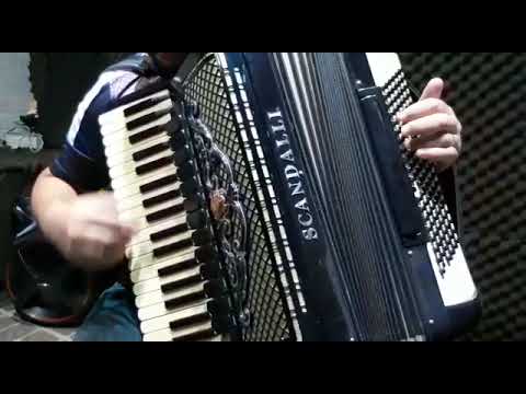 vaneira pros bigode ( aulas on line whats 41-996202785)