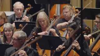 Parade Wooden Soldiers