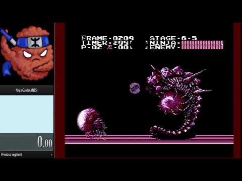 Ninja Gaiden end boss 6-5 Demon kill wihout cutting tail