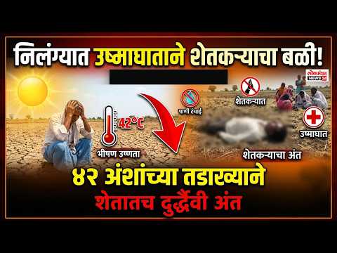 निलंग्यात उष्माघाताने शेतकऱ्याचा बळी! ४२ अंशांच्या तडाख्याने शेतातच दुर्दैवी अंत