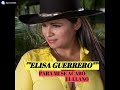 Elisa%20Guerrero%20-%20Para%20Mi%20se%20Acabo%20el%20LLano