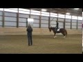 Coda Clinic January 2013 001.MPG