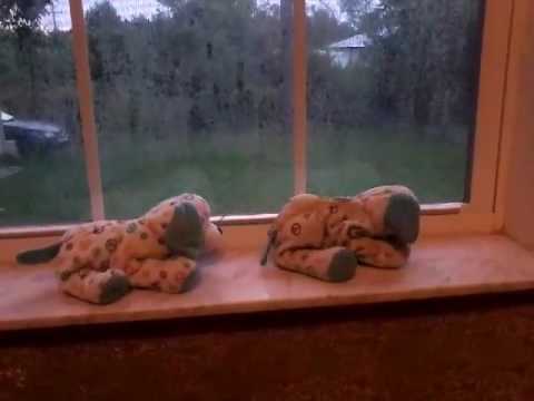 Mama dogsaurus extinction