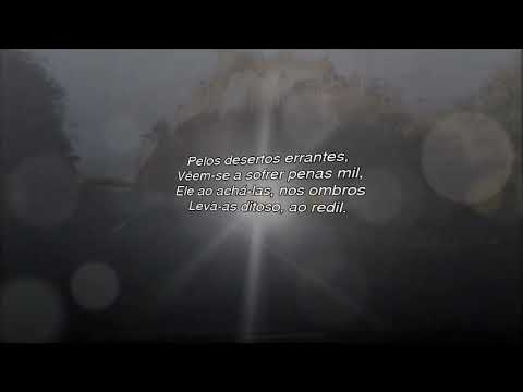 O Pastor e as Ovelhas - H. C. 283 (Letra)