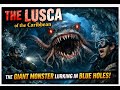 The Lusca Of The Caribbean The Giant Monster Lurking In Blue Holes