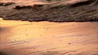 '' Bullet Proof I .... Wish I Was '' - radiohead