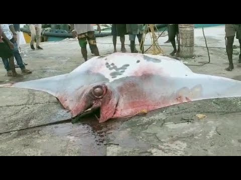 TDP Mahila President Comments on YCP MLa in Tenali,Vizagvision....