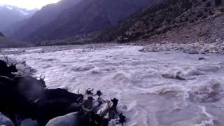 preview picture of video 'Yak Crossing the flooded river Chandrabhaga (Chenab) HP India'