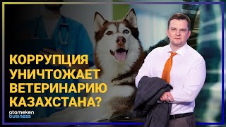 СЕНАТОР КУРИШБАЕВ: ВЕТЕРИНАРИЯ СТАЛА ОДНОЙ ИЗ САМЫХ КОРРУМПИРОВАННЫХ СФЕР В СТРАНЕ