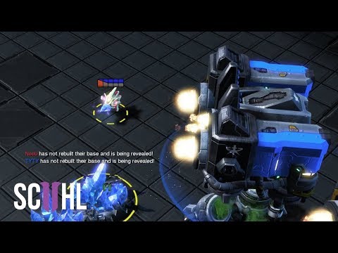 DRAW IN A PRO GAME?! - StarCraft 2: Neeb vs TY