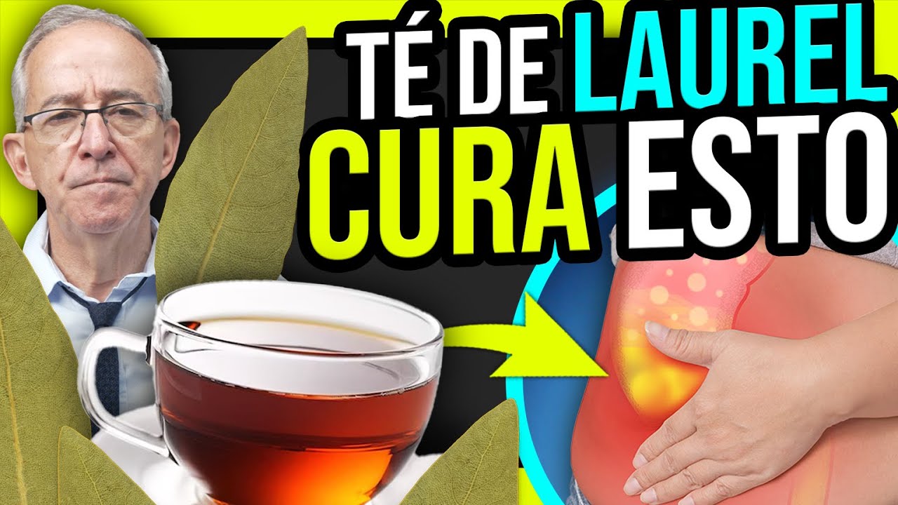 🌿 LAUREL TEA For These DISEASES - Oswaldo Restrepo RSC