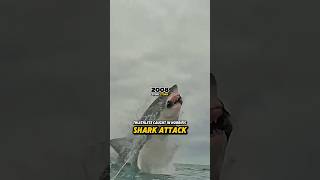 The Triathlete Caught In Horrific Shark Attack