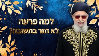 למה פרעה לא חזר בתשובה? | מרן רבינו עובדיה יוסף זצ''ל (מורשת מרן) - התמונה מוצגת ישירות מתוך אתר האינטרנט יוטיוב. זכויות היוצרים בתמונה שייכות ליוצרה. קישור קרדיט למקור התוכן נמצא בתוך דף הסרטון