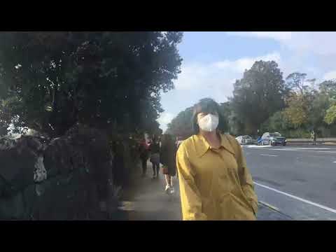 Armageddon Expo (2022) Auckland on Winter!