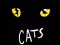 Cats The old gumbie cat (Original Broadway cast ...