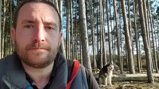 Dog fail! Try not to laugh! Husky Malamute stubbornness shows up owner