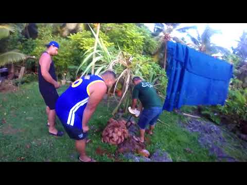 Beautiful Niue pt1