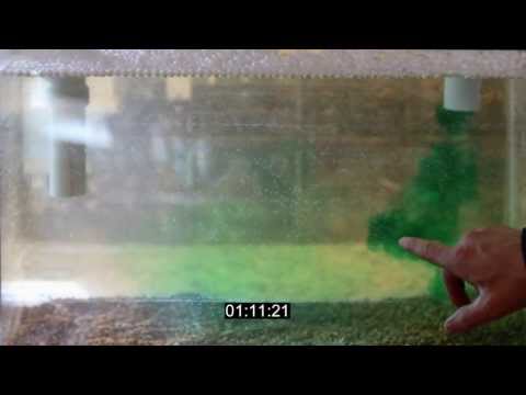 How often should you pump your septic tank?