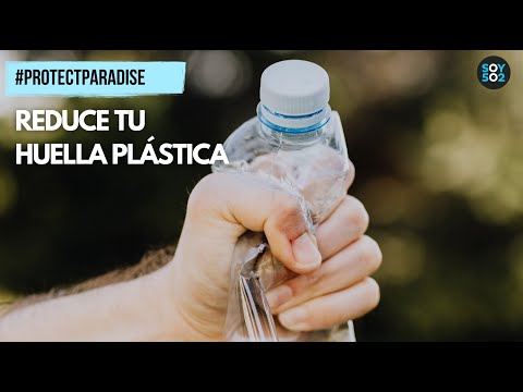Proteger el paraíso: una iniciativa para vivir con menos plástico