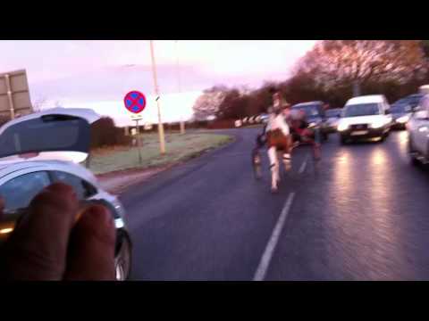 miss muffin v duchess