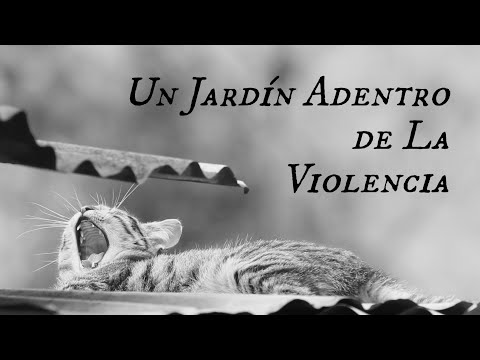 A Garden Within The Violence trailer thumbnail