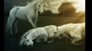 November&#39;s Doom - Scorpius