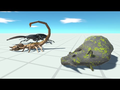SCORPION & BEETLE vs EVERY UNIT - Animal Revolt Battle Simulator