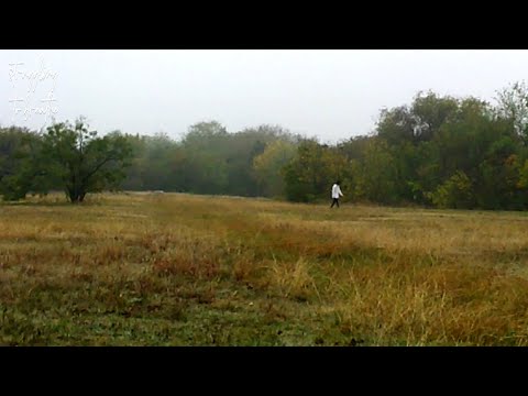 struggling to breathe (official visualizer)