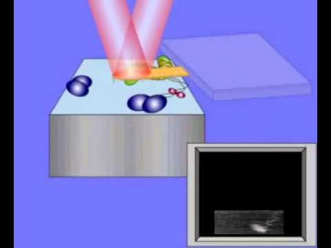 High-Speed AFM and Applications to Biomolecular Systems: Supplemental Video 1