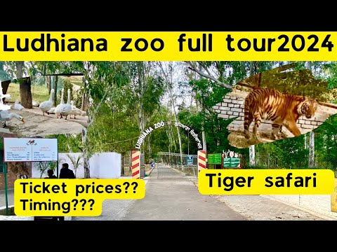 Ludhiana zoo | लुधियाना चिड़ियाघर | Tiger safari Ludhiana | Ludhiana zoo ticket prices 2024