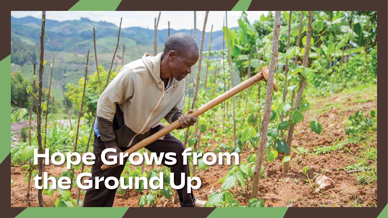 Soil, Strength & Hope: This Burundi’s Communities Lead the Way to Healthy land!
