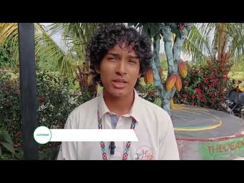 Cacao, plátano y meliponas: AGROSAVIA fortalece la innovación rural en Putumayo